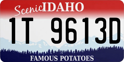 ID license plate 1T9613D
