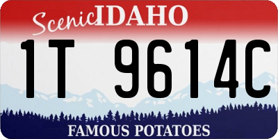 ID license plate 1T9614C