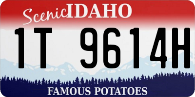 ID license plate 1T9614H