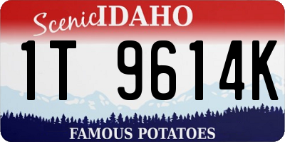 ID license plate 1T9614K