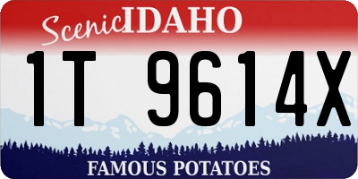 ID license plate 1T9614X
