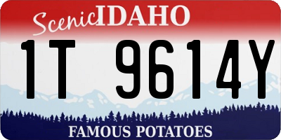 ID license plate 1T9614Y