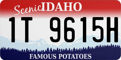 ID license plate 1T9615H