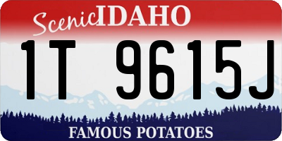 ID license plate 1T9615J
