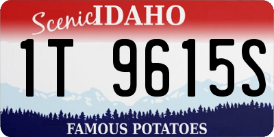ID license plate 1T9615S
