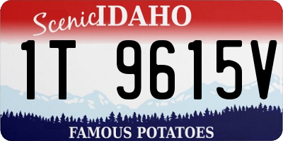 ID license plate 1T9615V