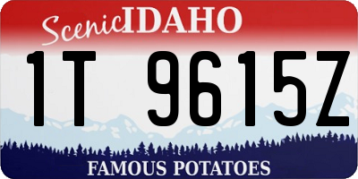 ID license plate 1T9615Z