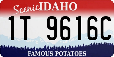ID license plate 1T9616C