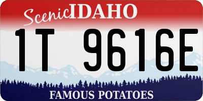 ID license plate 1T9616E