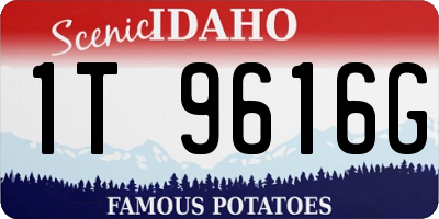 ID license plate 1T9616G