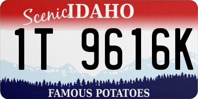 ID license plate 1T9616K
