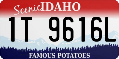 ID license plate 1T9616L