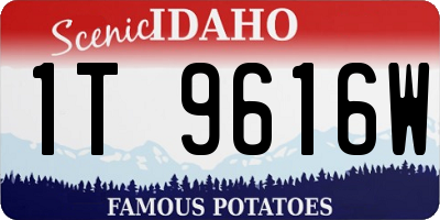 ID license plate 1T9616W