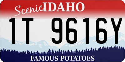 ID license plate 1T9616Y