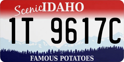ID license plate 1T9617C
