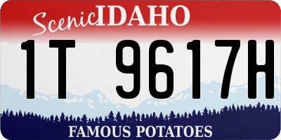 ID license plate 1T9617H