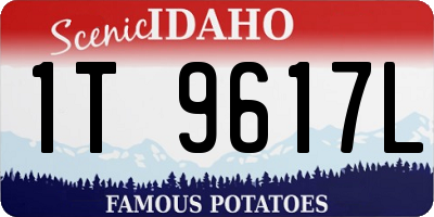 ID license plate 1T9617L