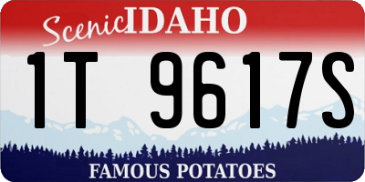 ID license plate 1T9617S