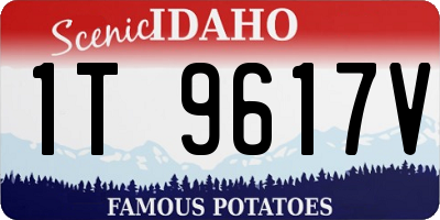 ID license plate 1T9617V