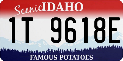ID license plate 1T9618E