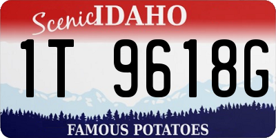 ID license plate 1T9618G
