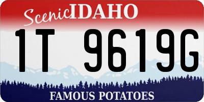 ID license plate 1T9619G