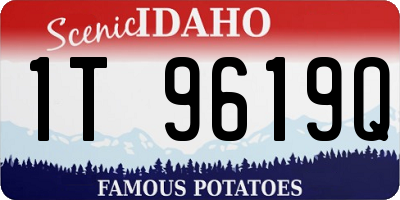 ID license plate 1T9619Q