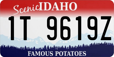 ID license plate 1T9619Z