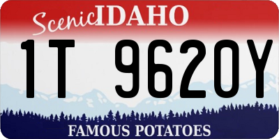 ID license plate 1T9620Y