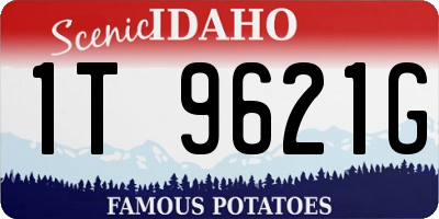 ID license plate 1T9621G