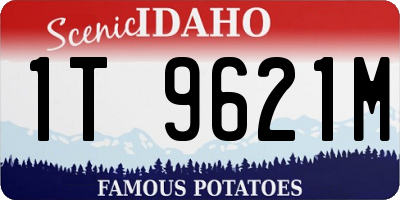 ID license plate 1T9621M