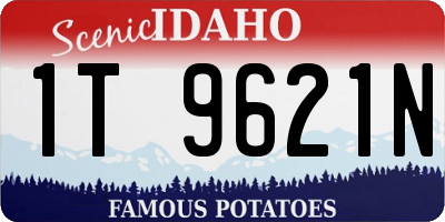 ID license plate 1T9621N