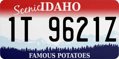 ID license plate 1T9621Z