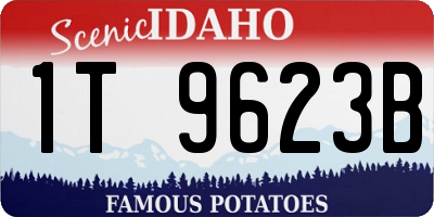 ID license plate 1T9623B