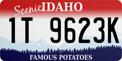 ID license plate 1T9623K