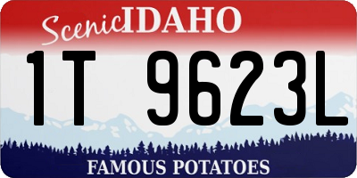 ID license plate 1T9623L