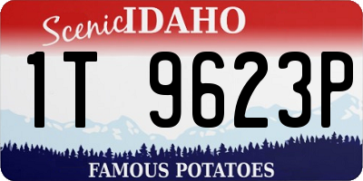 ID license plate 1T9623P