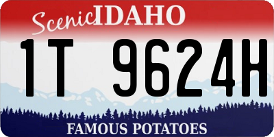 ID license plate 1T9624H