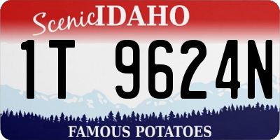 ID license plate 1T9624N