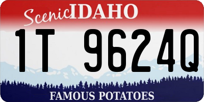 ID license plate 1T9624Q