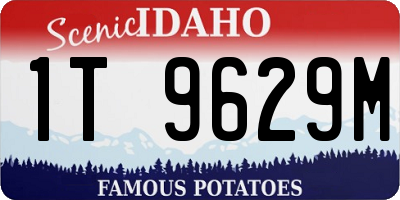 ID license plate 1T9629M