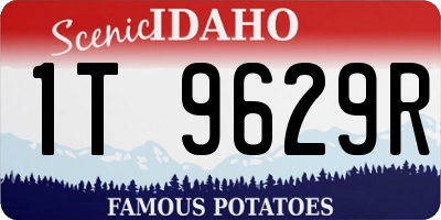 ID license plate 1T9629R