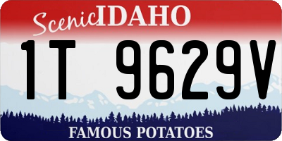 ID license plate 1T9629V