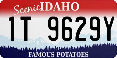ID license plate 1T9629Y