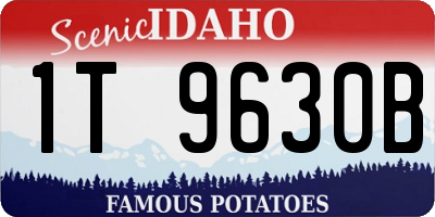 ID license plate 1T9630B