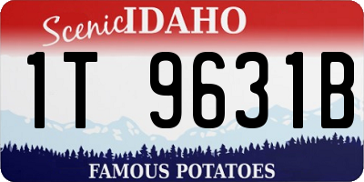 ID license plate 1T9631B