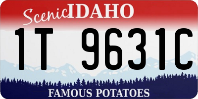 ID license plate 1T9631C