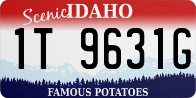 ID license plate 1T9631G