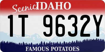 ID license plate 1T9632Y