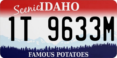 ID license plate 1T9633M